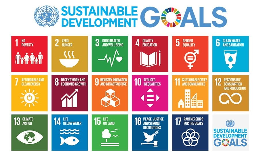 Volunteerism and the Global Goals | UNV